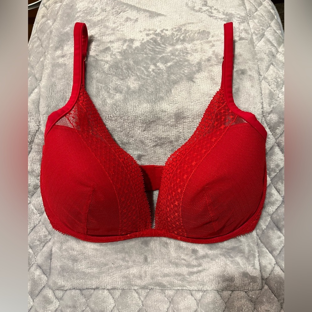 Victoria’s Secret Red Plunge Bra 32DDD